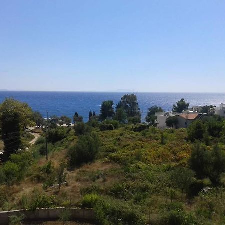 Hotel Afrodite Dhërmi Buitenkant foto