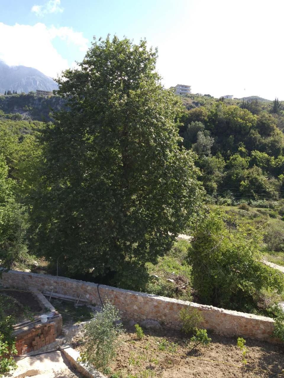 Hotel Afrodite Dhërmi Buitenkant foto
